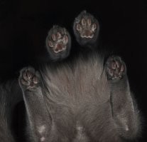 24 всем знакомых вещи с новой стороны