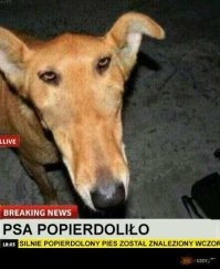Напомнило вот это