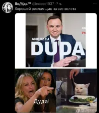 Политический мониторинг (480)