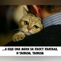 15 трогательных фотографий, которые говорят громче слов