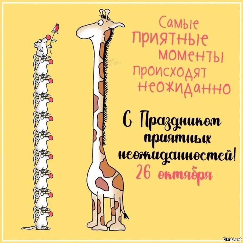 Солянка от 26.10.2024