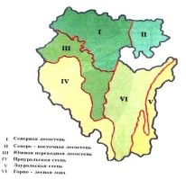Да был я в вашей Башкирии , чуть дальше трех шурупов уедь и до Орска степи . а когда зимой ветра начинаются так мусор с полигонов развевается на сухих стеблях травы до горизонта .
