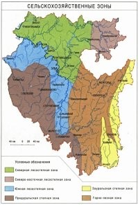 Да был я в вашей Башкирии , чуть дальше трех шурупов уедь и до Орска степи . а когда зимой ветра начинаются так мусор с полигонов развевается на сухих стеблях травы до горизонта .