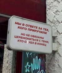 Школьникам Владимирской области запретили приходить на занятия в никабах и хиджабах