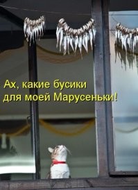 Смешные демотиваторы для отличного настроения