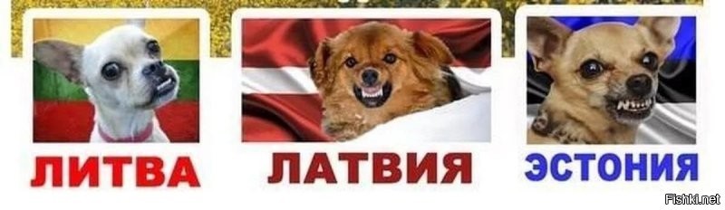 Ну да, сильную независимую скандинавскую  сельдь проглотил и потом как давай шуметь, а скандинавы да прибалты давай боятся