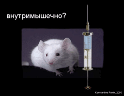Смешные демотиваторы для отличного настроения