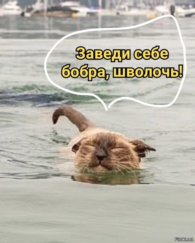 17 интересных моментов, которые люди успели сфотографировать, когда отправились в поход