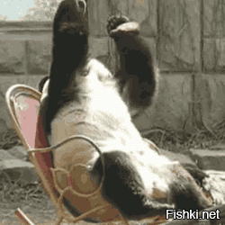 Какой позор!!! )))