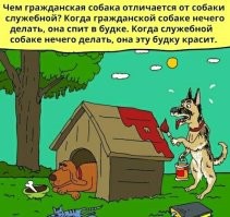 Парень вырезал из листа А4 самую длинную в мире полоску бумаги