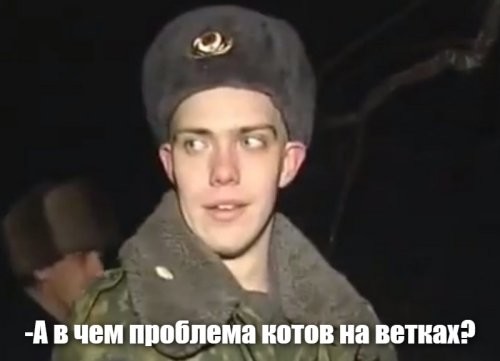 "Поймай меня, если сможешь" прямиком из Коми