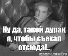 Мужчина спас лису, и теперь она не хочет возвращаться в дикую природу