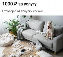 И подпись - Карлсон