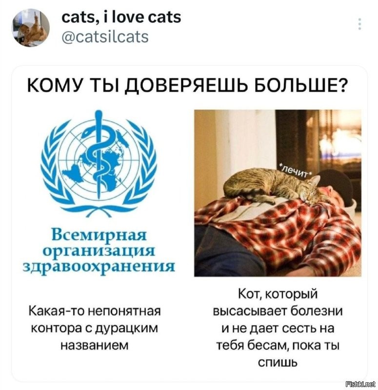 Солянка от 29.10.2024