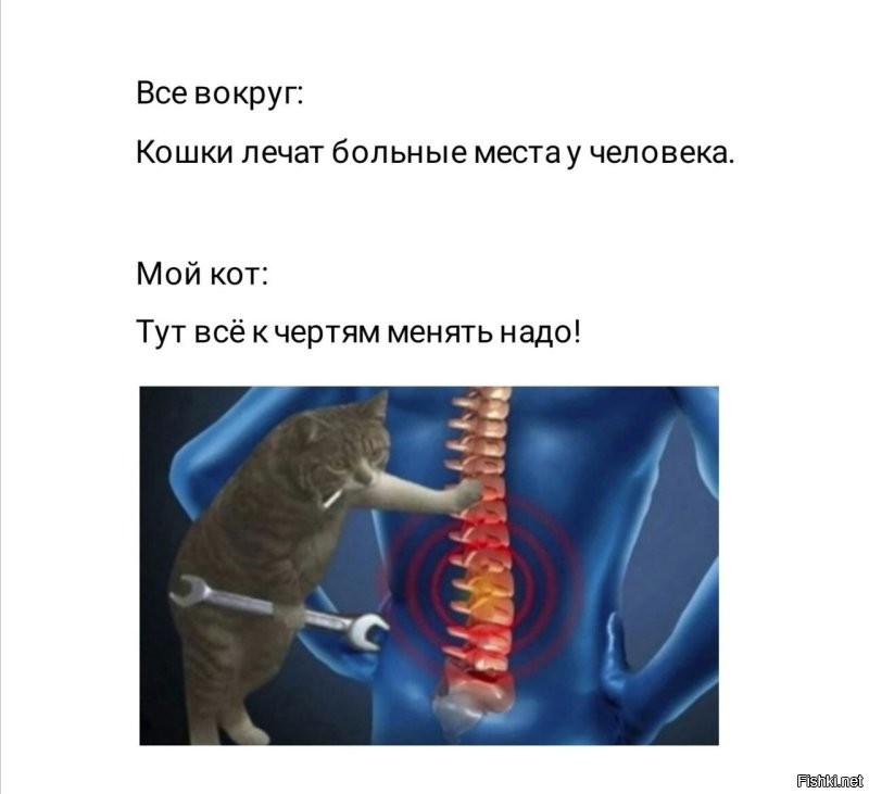 Солянка от 29.10.2024
