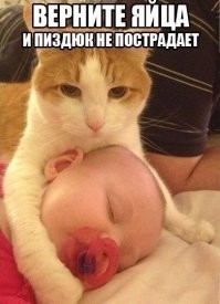 Скрины из соцсетей&nbsp;&nbsp;&nbsp;&nbsp;&nbsp;&nbsp;&nbsp;&nbsp;&nbsp;&nbsp;&nbsp;&nbsp;