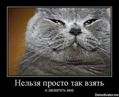 В реальности