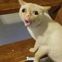 Great Wall объявил цены на свой первый мотоцикл Suou S2000