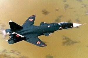 Ммммм... Обратная стреловидность крыла. Интересно! Продвинутый жук!...)