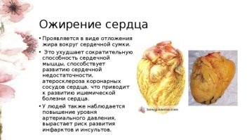 В австралийском ресторане подают кубические бургеры