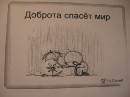 Мужчина спас медведицу, а та через несколько лет привела своих детей к нему домой