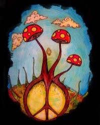 С LSD сделаем мир цветным!