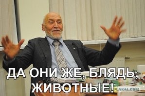 "Что можно употребить, чтобы так ушатать квартиру?": в Питере наркопара за 10 дней почти уничтожила арендное жилье