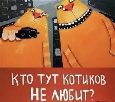 Котики, они такие!