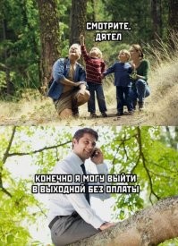 Девушка не ответила на звонок руководителя в свой выходной - и её уволили