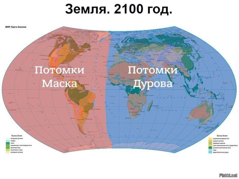 Илон Маск готов стать донором спермы, чтобы победить низкую рождаемость в мире