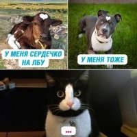 15 удивительных случаев, когда люди замечали цифры и буквы там, где их не должно быть