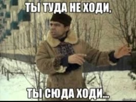 8 секунд смертельной битвы: фотоловушка засняла схватку волка и рыси