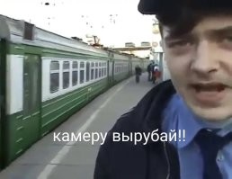 Птица высказала своё возмущение в камеру