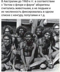 Конечно он не знал сахара. Аборигенов англосаксы геноцидили по страшному.  Сам Гиммлер восторгался находчивостью англичан, которые под видом помощи раздавали аборигенам мясо, отравленное стрихнином. Владелец ранчо Лонг-Лэгун, которому не повезло жить рядом с одним из племен, отравил таким образом за один только день 100 человек, среди которых были как взрослые, так и дети. В Квинсленде, на севере Австралии, в конце 19 века была популярна забава   семьи местных жителей загоняли собаками и заставляли лезть в реку, кишащую крокодилами.