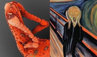 16 макрофото, доказывающих, что под нашими ногами живут удивительные создания, которых мы просто не замечаем
