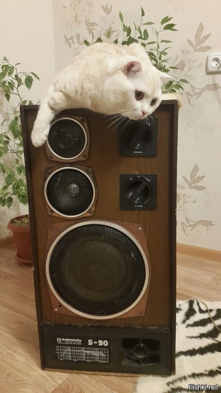 Под музыку ? )