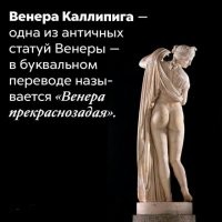 Дык не соврали, перевод буквальный.