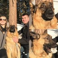 Это реакция на фотографа, а не на снег
