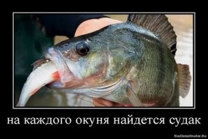 Воспитательная беседа в лифте⁠⁠