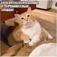 Результат загадочного эксперимента: правда ли, что коты видят нас как Гигантскую Кошку