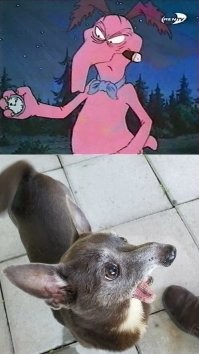 Мне больше этого персонажа напоминает.