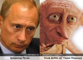 Пес-Добби, пес-мем, пес-Ричард Гир: 30 собак, похожих на что-то другое