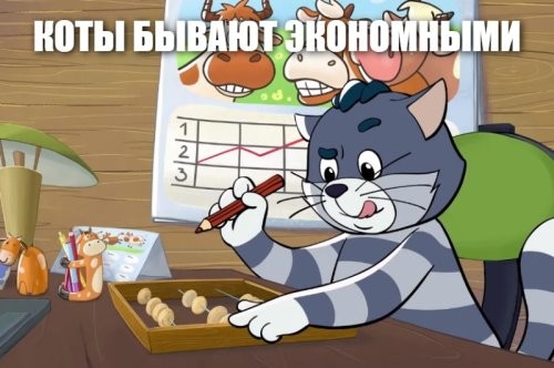 Гордый рыночный котэ