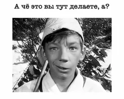 Кот влез в кадр во время съемки романтичного видео