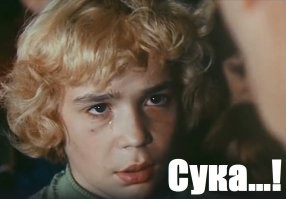 Люди вновь начали обижать роботов