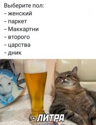 Не ищите здесь смысл. Здесь в основном маразм
