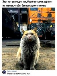 Не ищите здесь смысл. Здесь в основном маразм