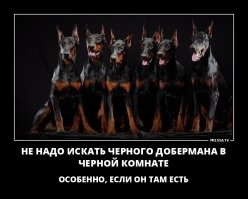 Не ищите здесь смысл. Здесь в основном маразм