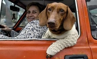 Просто гифки, всякие и&nbsp;разные