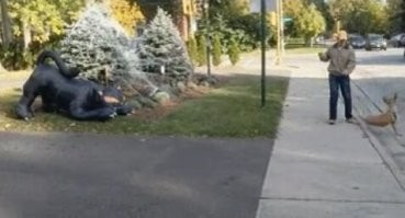 Херасе у них там квадробоберы..